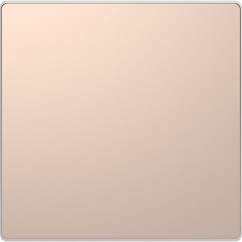 Заглушка без рамки Schneider Electric Merten D-Life шампань картинка